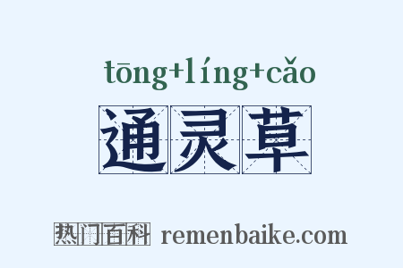 通灵草是什么意思的图片